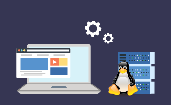 How to choose the best hosting provider with Linux for VPS