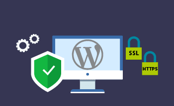 How to install and configure HTTPS for a site in WordPress