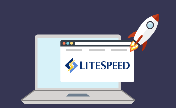 Litespeed web server and caching