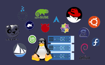 Which Linux distribution is best to install on a server in 2022