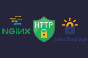 Embrace Secure Web Communication: Wildcard HTTPS with Let's Encrypt and Nginx