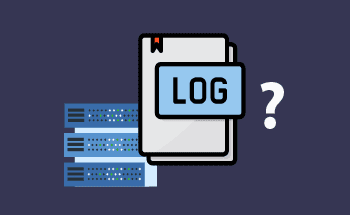 What are server logs and what are they for