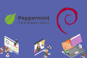 Peppermint has introduced PepMini, which is a minimal operating system based on Debian