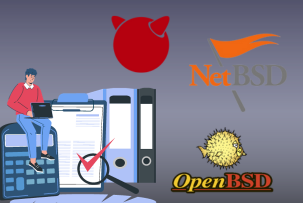 Administration of Packages and Services in FreeBSD / OpenBSD / NetBSD