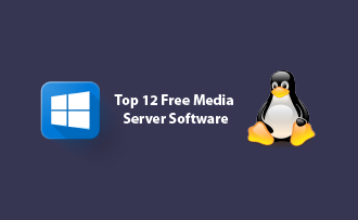 Top 12 Free Media Server Software for Windows and Linux